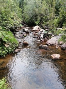 PARCELA LAGO CHAPO